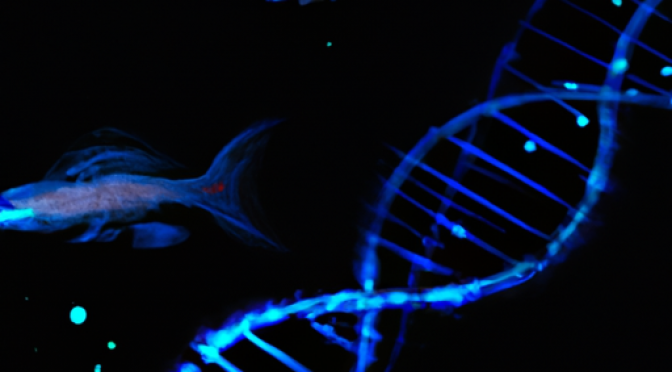 DNA strands, fish specimens, AI genetic modifications, abstract digital illustration.
